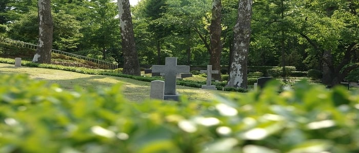 Webp.net-resizeimage (10)-3