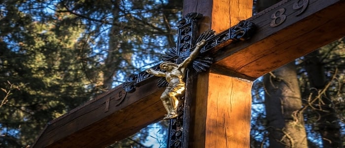 Webp.net-resizeimage (4)-2