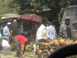 Webp.net-resizeimage-1